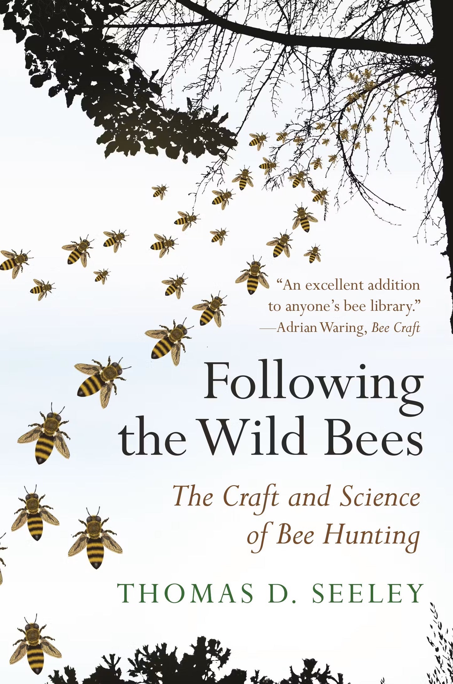 Following the Wild Bees: The Craft and Science of Bee Hunting