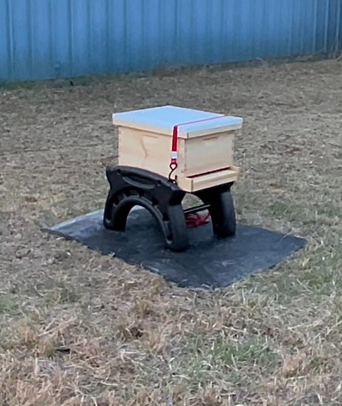 Hive Mat