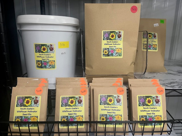 South Eastern Wildflower Pollinator Seeds