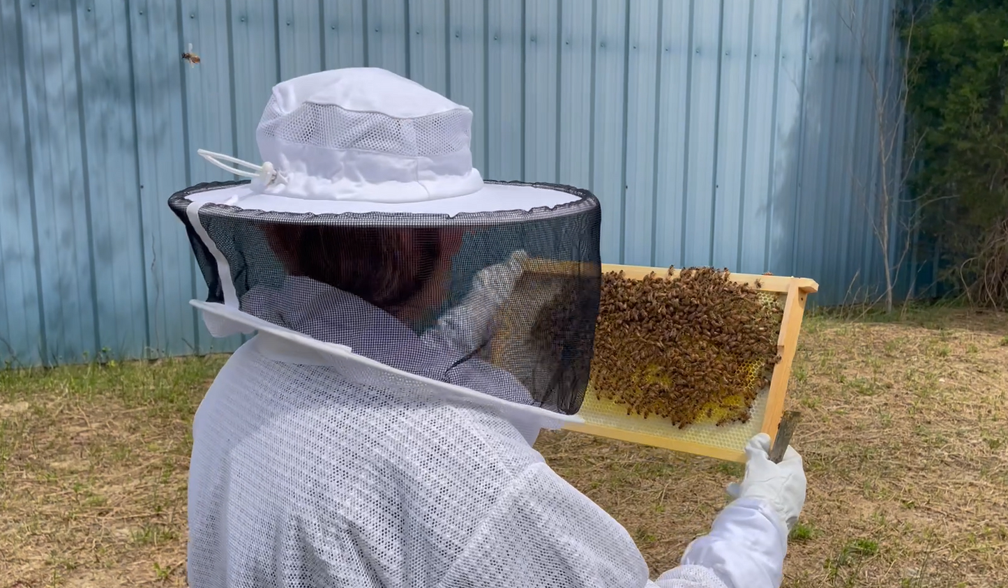 Beekeeper for a Day - An Immersive Beekeeping Experience
