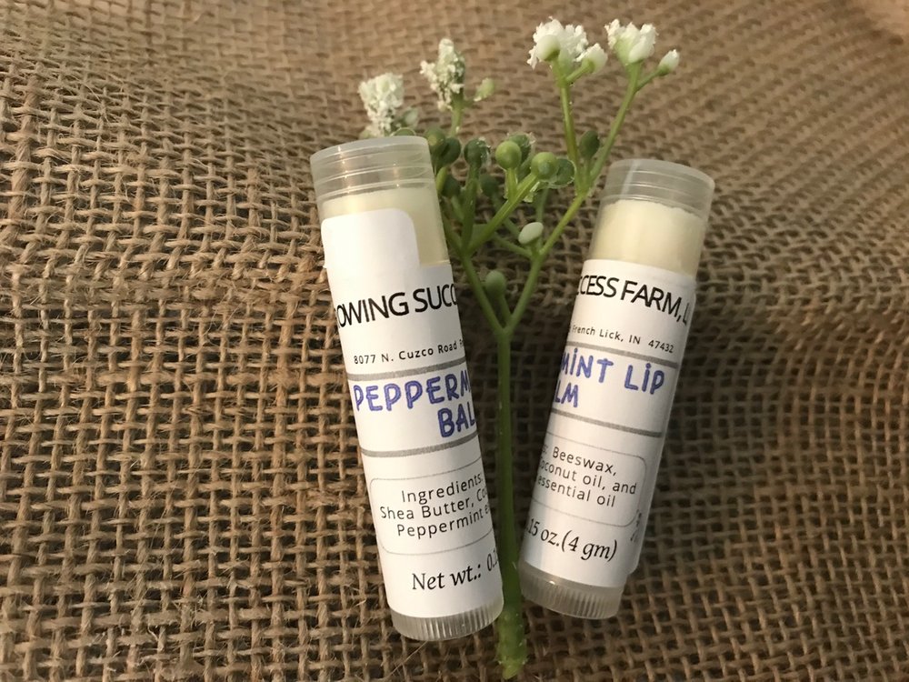 Lip Balm-Assorted Scents