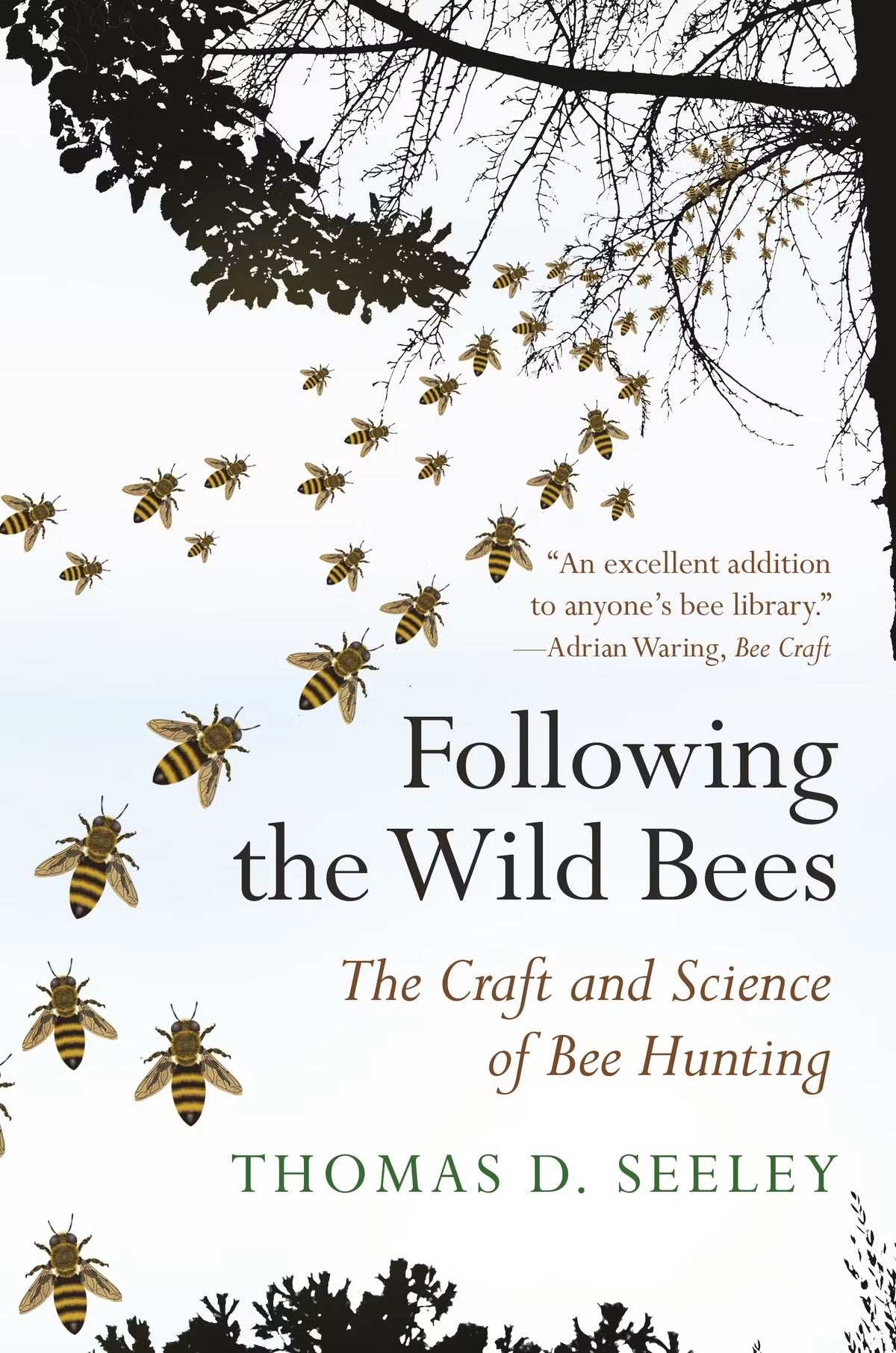 Following the Wild Bees:  The Craft and Science of Bee Hunting