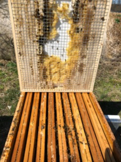 DRB Winter Feed Board for 8 Frame Hives