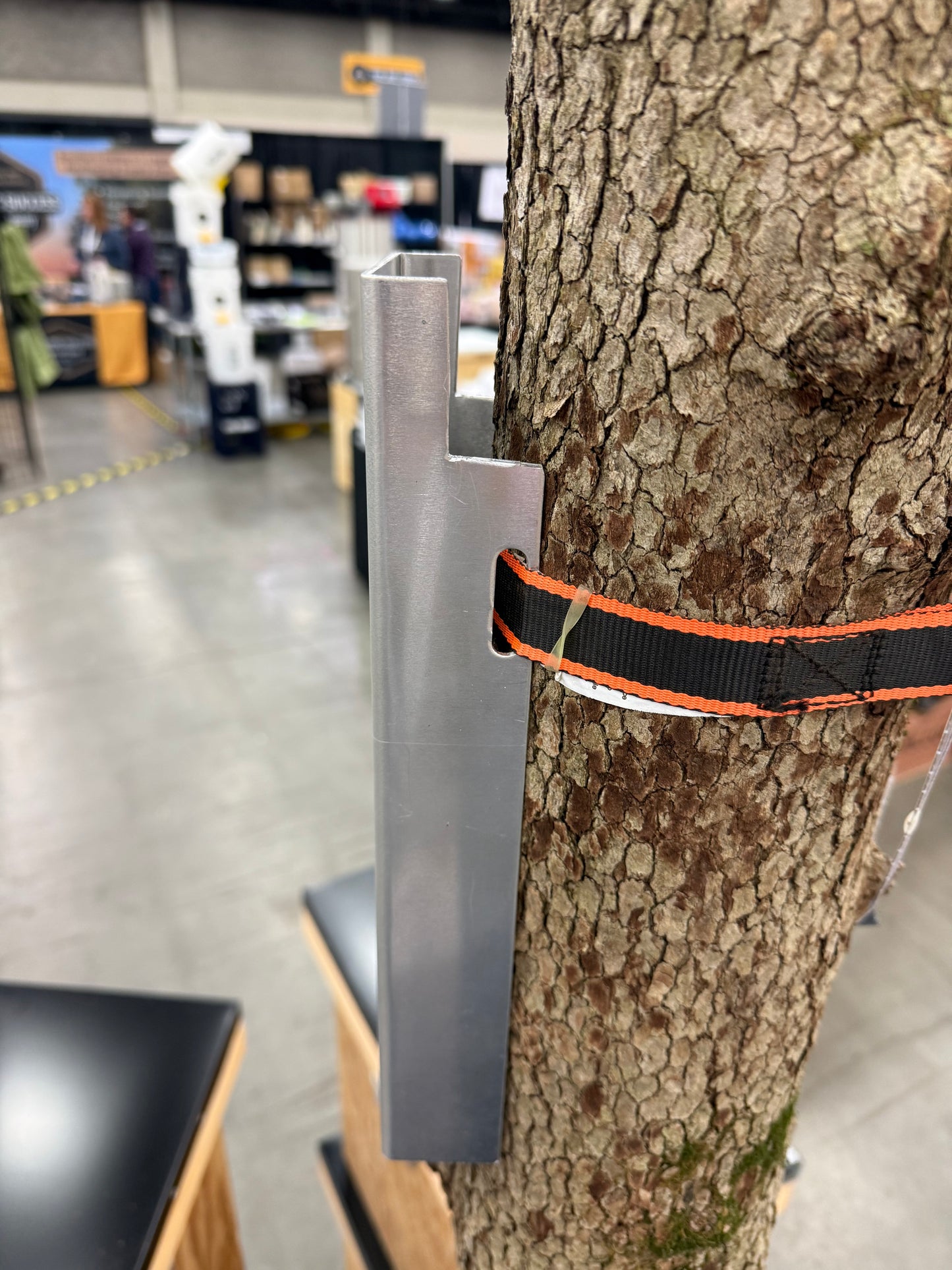 Premium Swarm Trap Kit