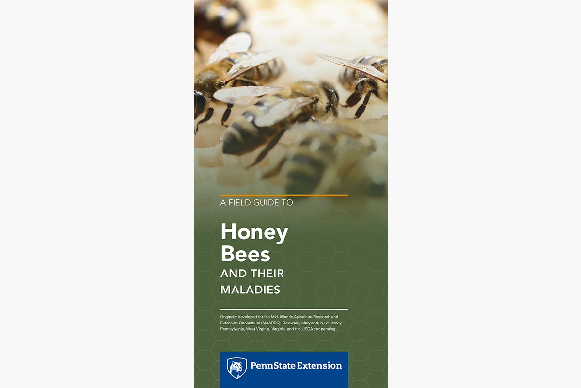 A Field Guide to Honey Bees and Their Maladies