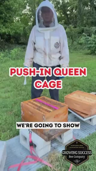 Push-in Queen Cage, Wire Mesh