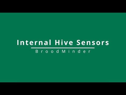 BroodMinder-T2SM internal hive monitor